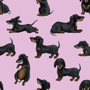 Seamless repeating pattern with cute dachshunds Stock Illustration