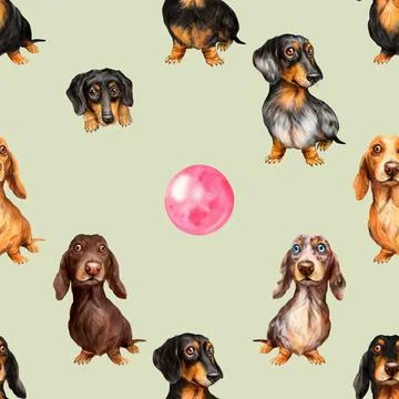 Seamless repeating pattern with cute dachshunds Stock Illustration