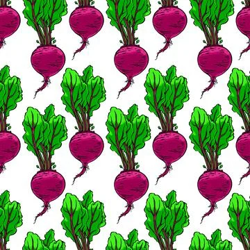 Seamless ripe beets イラスト素材