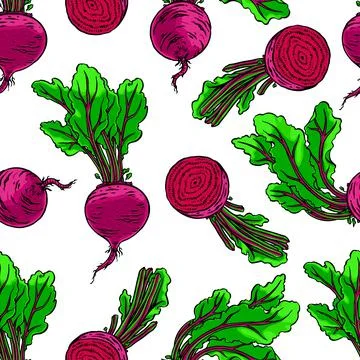 Seamless ripe beets イラスト素材