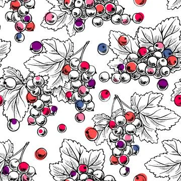 Seamless ripe currant Stock Illustration