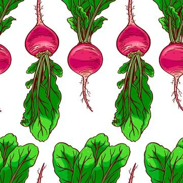Seamless ripe radish Stock Illustration
