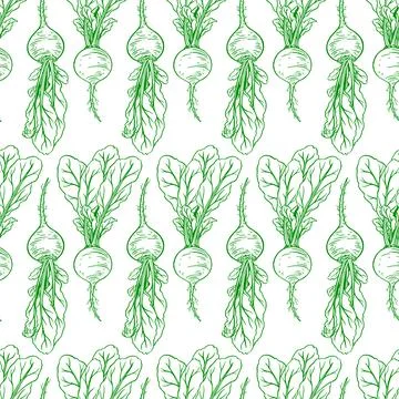 Seamless ripe radish Stock Illustration