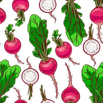 Seamless ripe radish Stock Illustration