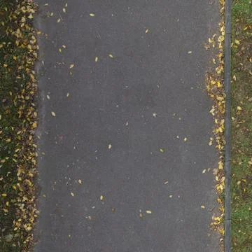 Seamless road texture with leaves Stock Photos