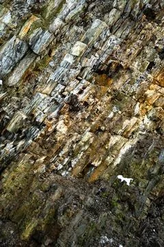Seamless rock layers texture background close up Stock Photos