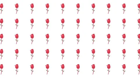 Seamless Romantic Valentine Pattern with Small Red Rose Buds on White Background Stock Footage 345539853