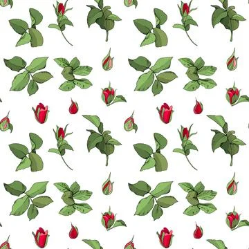 Seamless Rose Pattern. Excellent for fabric, wallpaper, gift boxes, backgroun Stock Illustration