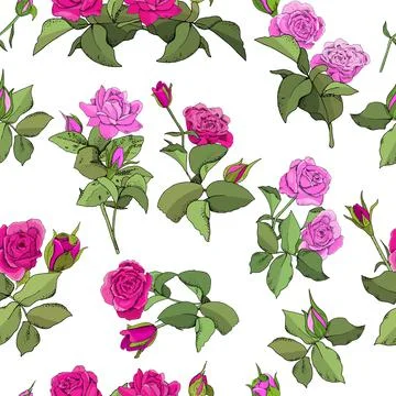 Seamless Rose Pattern for fabric, wallpaper, gift boxes, background greeting  Stock Illustration