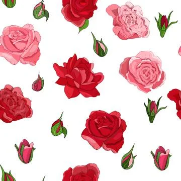 Seamless rose pattern isolated on white background. Vector hand drawn illustr Illustrazione stock