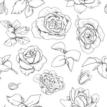 Seamless rose pattern isolated on white background. Vector hand drawn illustr Illustrazione stock