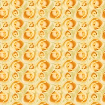 Seamless rose pattern Stock Photos