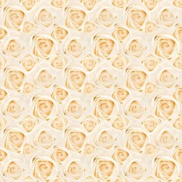Seamless rose texture Stock Photos