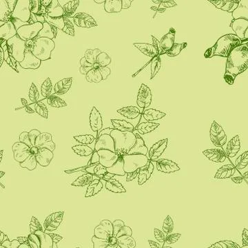 Seamless Rosehip vector pattern for packaging, wrapping, wallpaper on green Stock Illustration