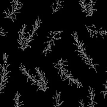 Seamless rosemary hand drawn pattern Stock-Illustration