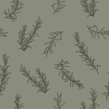 Seamless rosemary hand drawn pattern Stock Illustration