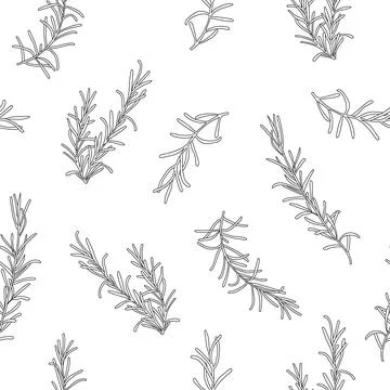 Seamless rosemary hand drawn pattern Stock Illustration
