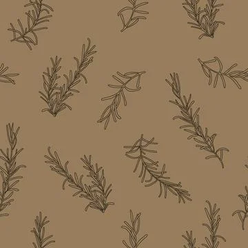 Seamless rosemary hand drawn pattern Stock Illustration