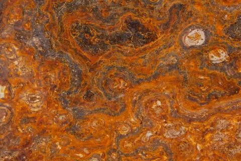 Seamless rustic background. Stock Photos