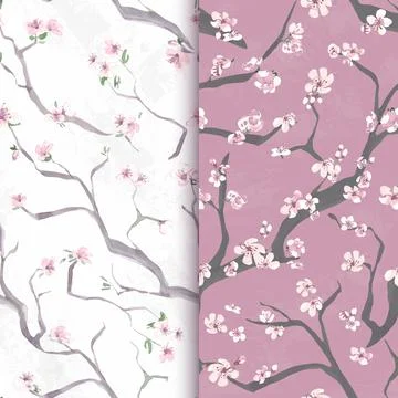 Seamless sakura flower. Vector cherry wallpaper. Japan asian background. Wate イラスト素材