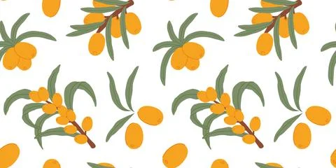Seamless Sea Buckthorn Pattern with Branches and Leaves. Stock Illustration
