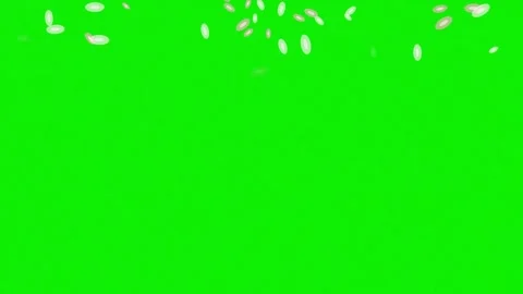 Seamless seeds animation on chroma key green screen background featuring Stock Footage 337047504