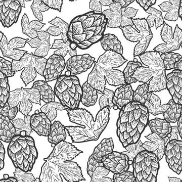Seamless set. Sprig of blooming hops and leaves. Scratch board imitation. Black Stock Illustration