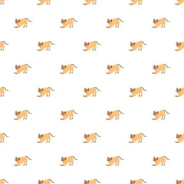 Seamless siamese cat stretching pattern on white background Stock Illustration
