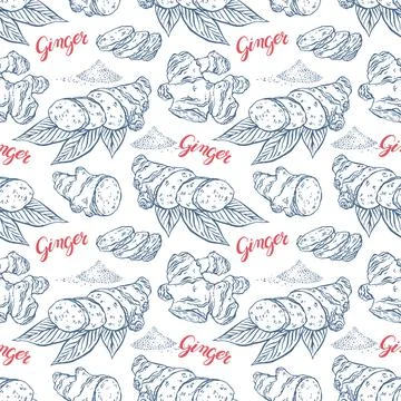 Seamless sketch ginger Stock Illustration