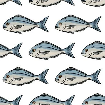 Seamless sketch pattern of Mediterranean fish illustration Illustrazione stock