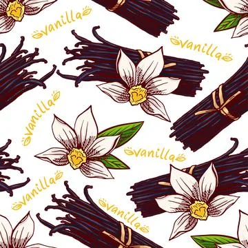 Seamless sketch vanilla Stock Illustration