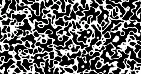 Seamless skin pattern color of black and white footage 4k Stock Footage 220512254
