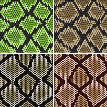 Seamless snake skin patterns Illustrazione stock