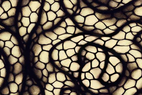 Seamless Snakeskin Pattern 스톡 일러스트