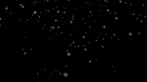 Seamless Snowfall Loop Animation  Variant 3 Stock Footage 333029007