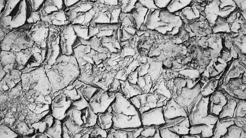 Seamless soil surface Video stock 90352221