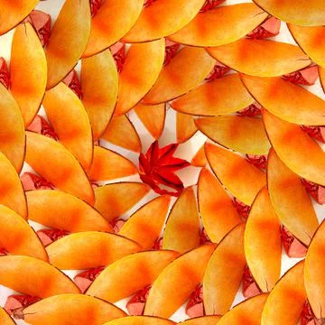 Seamless spiral pattern made of dry semi-oval shell, orange creative background Foto stock