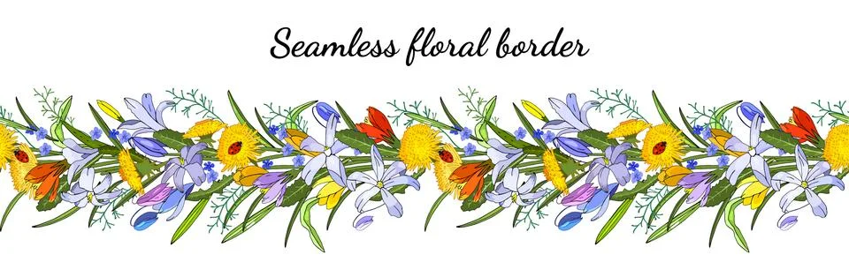 Seamless spring flower border isolated on white. Vector hand drawn pattern. Stock Illustration