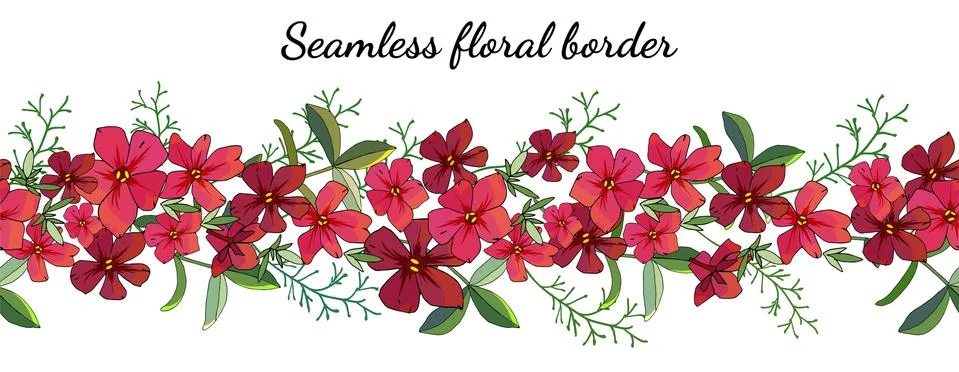 Seamless spring flower border isolated on white. Stock Illustration