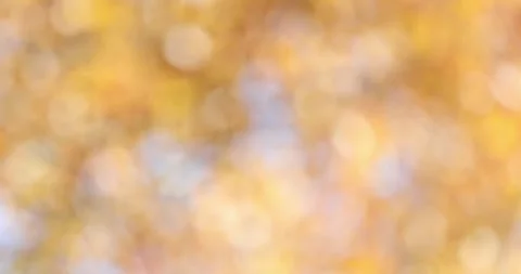 Seamless spring natural bokeh background Stock Footage 252669215