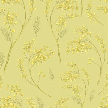 Seamless Spring Pattern with Sprig of Mimosa. Stock Illustration