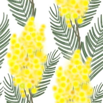 Seamless Spring Pattern with Sprig of Mimosa Stock Illustration
