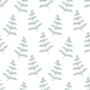 Seamless spruce pattern. Vector illustration of the background of a pine bran Stock Illustration