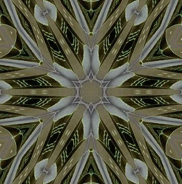 Seamless star pattern beige brown gray Stock Illustration