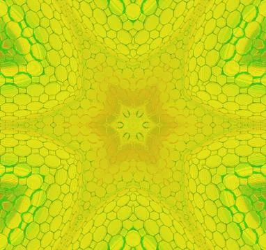 Seamless star pattern yellow green Stock Illustration