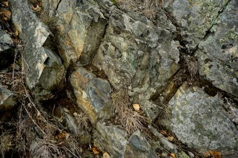 Seamless stone texture Stock Photos