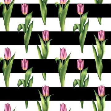 Seamless stried pattern with pink tulips Illustrazione stock