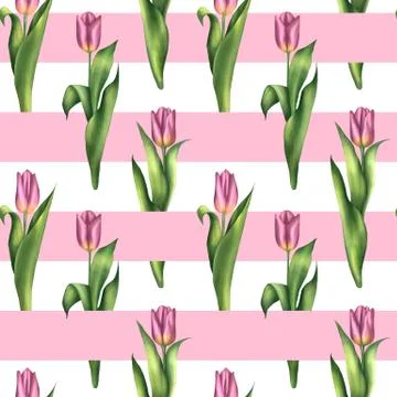Seamless stried pattern with pink tulips Illustrazione stock