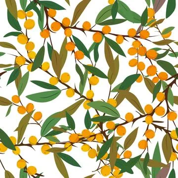 Seamless summer pattern: green leaves and yellow sea buckthorn berries. bot.. Stock Illustration