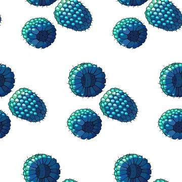 Seamless summer pattern with ripe blue raspberries. Vector illustration. 스톡 일러스트